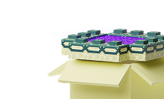 Download Visual Effects+ — Minecraft Resourcepacks — MetaMods